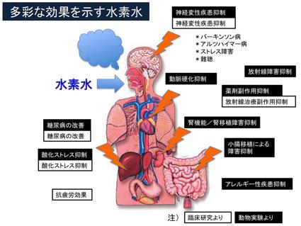 多彩な効果を示す水素水