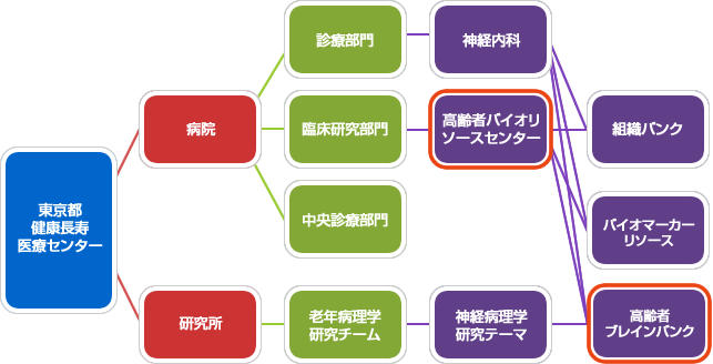 高齢者バイオリソースセンター 診療科情報 地方独立行政法人 東京都健康長寿医療センター