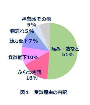 図1　受診理由の内訳