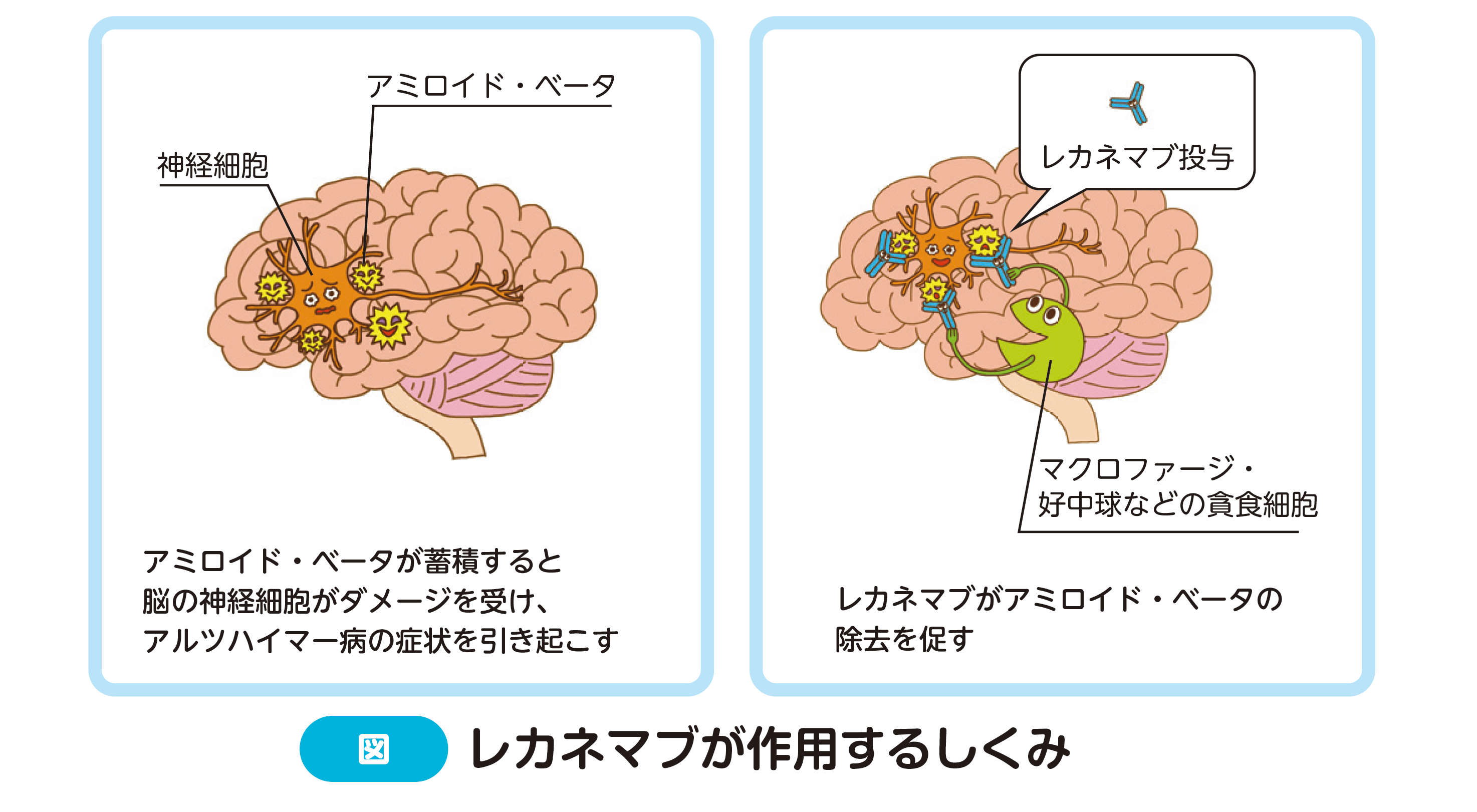 rekanemabuzu