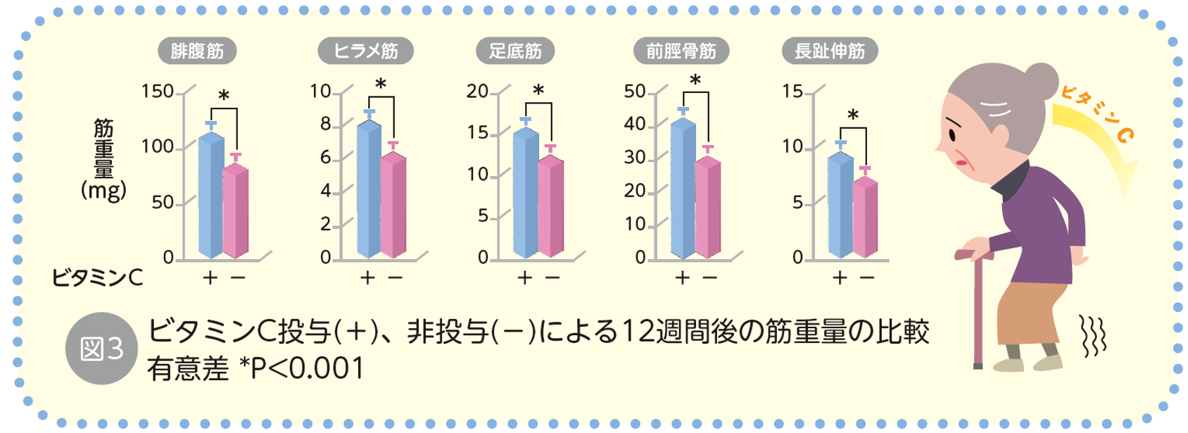 図3.png