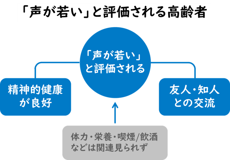 心の健康と社会的交流が良好な高齢者ほど、声が若々しい傾向に― 地域在住高齢者1,000人超を分析 ―のサムネイル画像