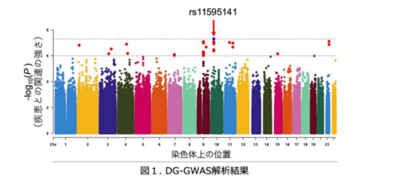 謎多い嗜銀顆粒性認知症(しぎんかりゅうせいにんちしょう)〜遺伝的特徴が明らかにのサムネイル画像