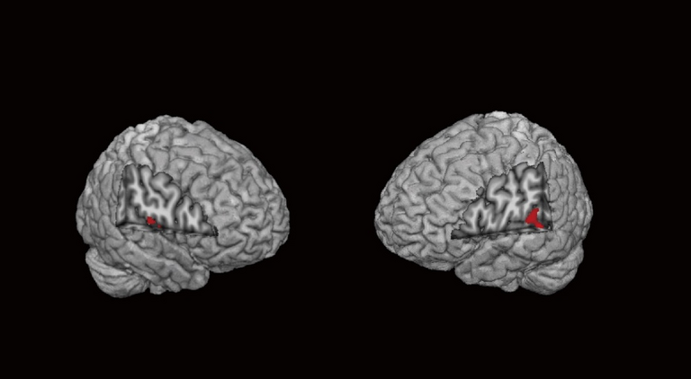 独り好きの人は仲間はずれにどう反応するのか？―孤独を好む人は、社会的痛みの処理が異なることが明らかに―のサムネイル画像