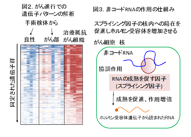 202007takayamazu23.png