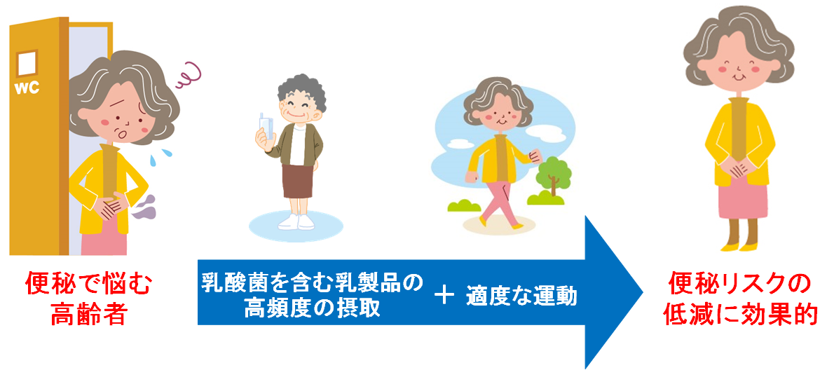 便秘で悩む高齢者が乳酸菌を含む乳製品の摂取+適度な運動で便秘リスクの低減に効果的