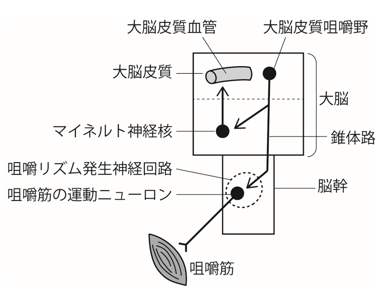 図