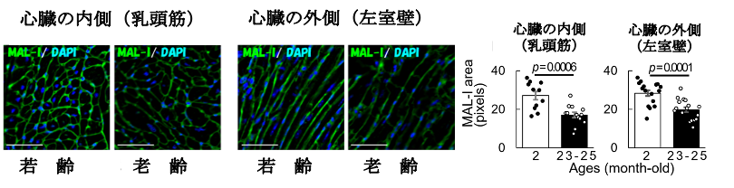 図1.png