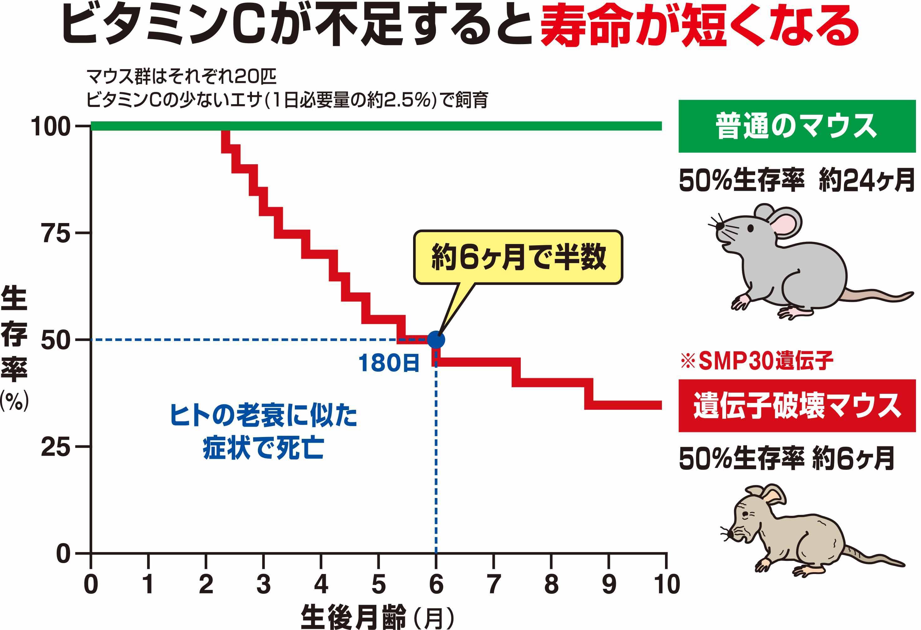 図2.jpg