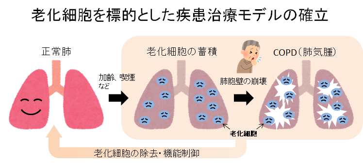 図2.png