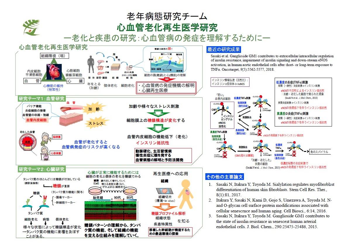 心血管.jpg