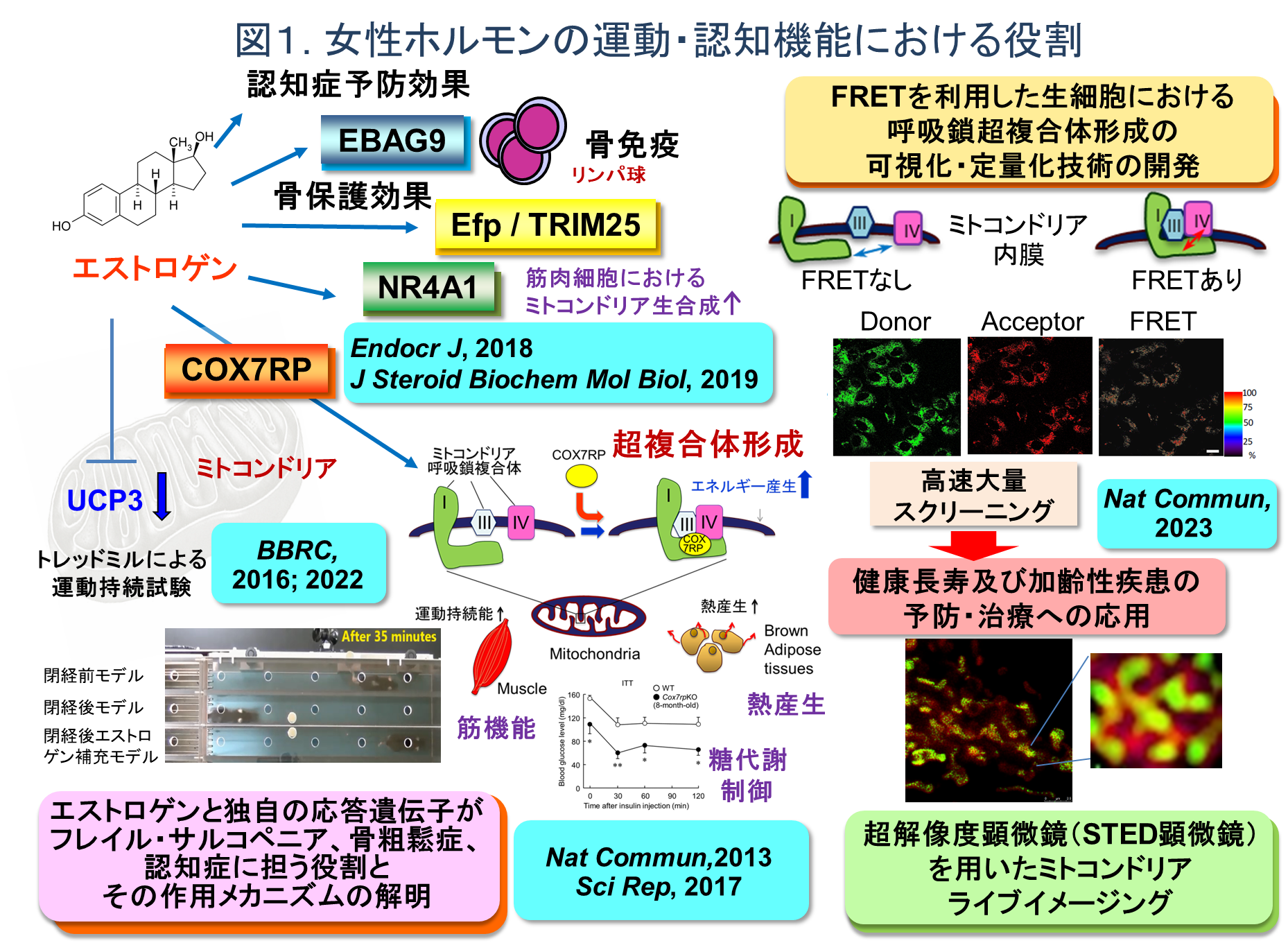 図1.png