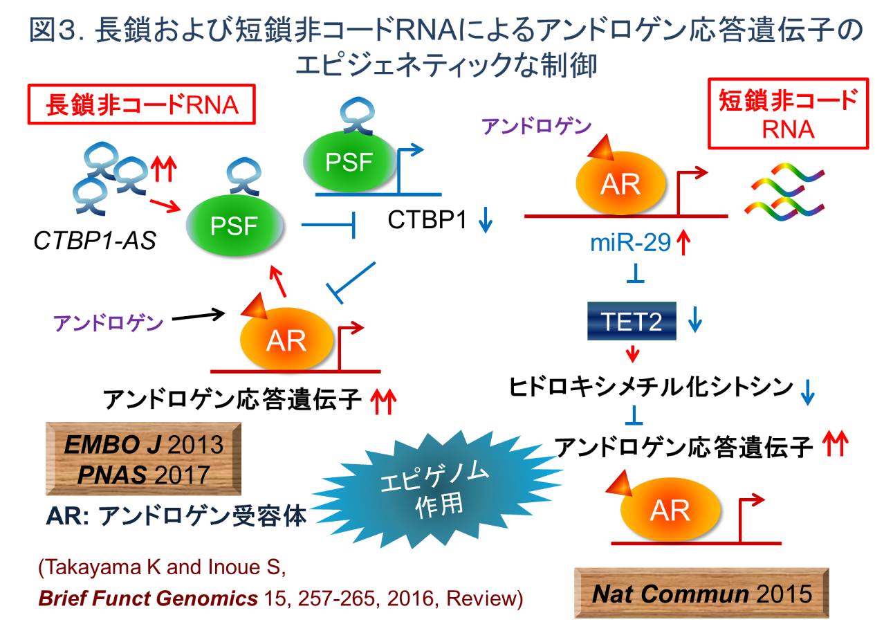 図3.png