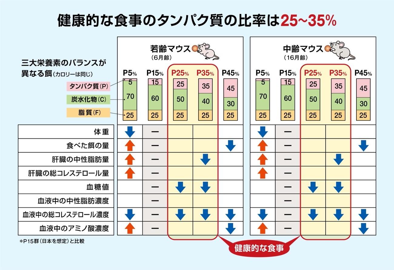 図1.jpg