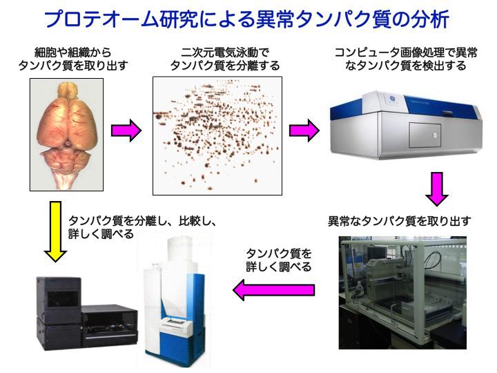 プロテオーム研究