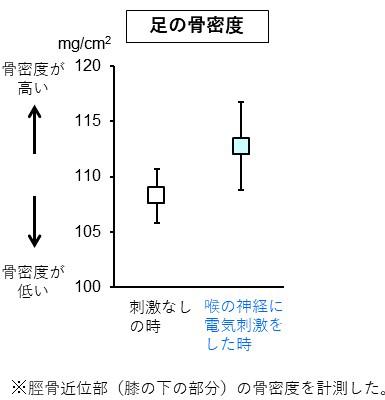 図2.jpg