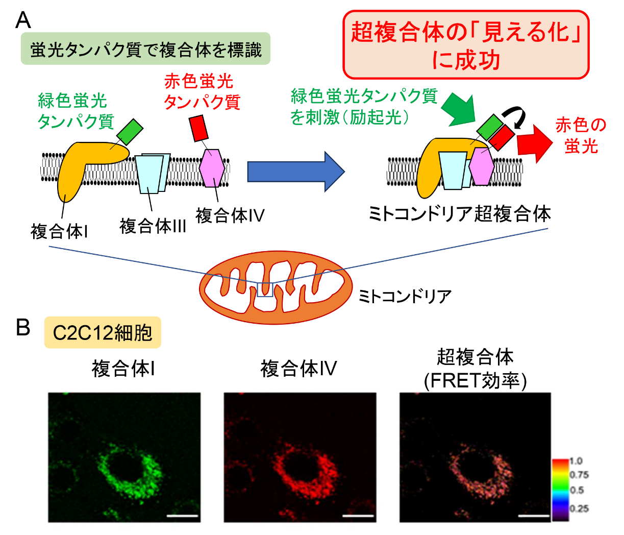 図2.png