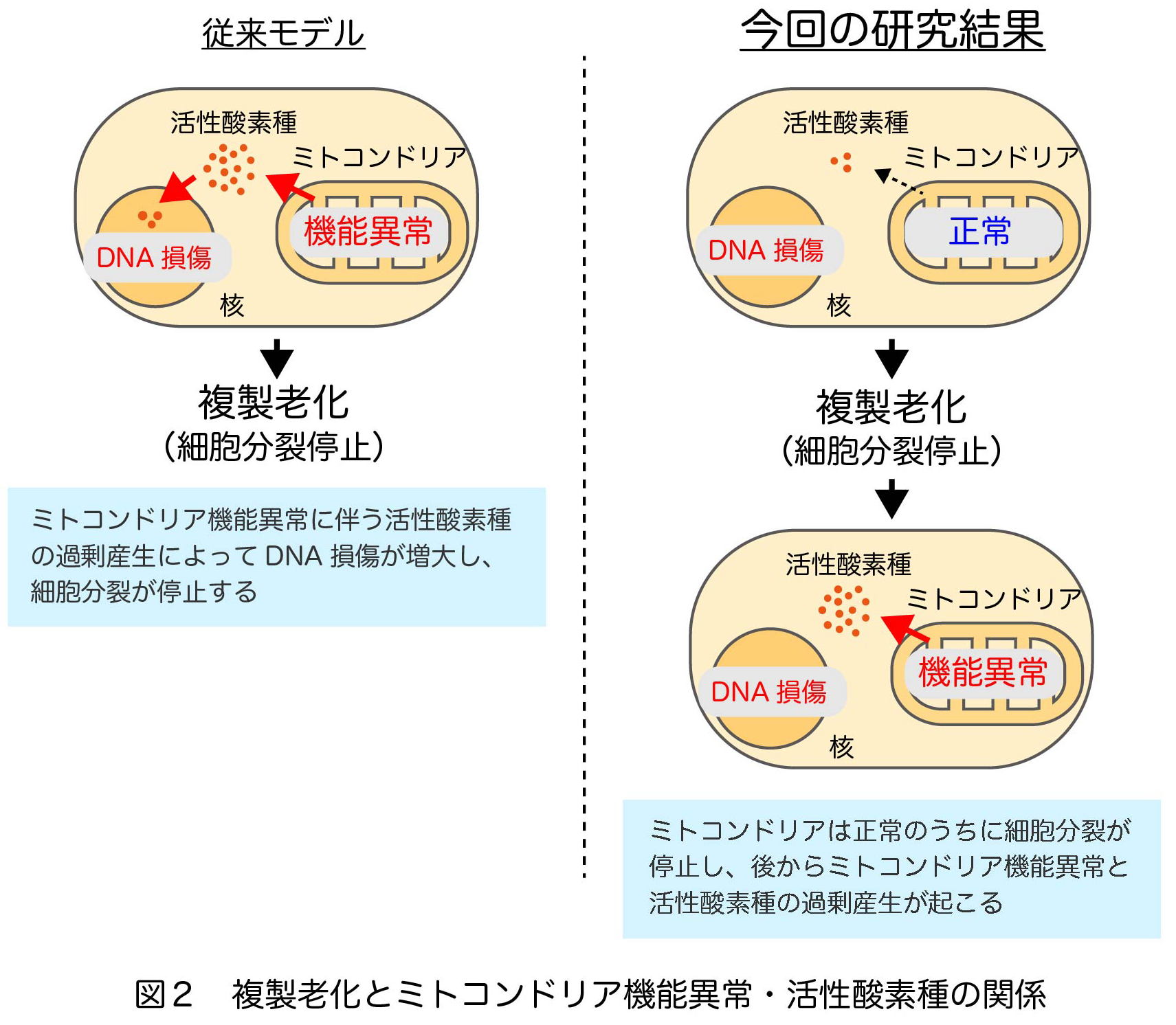 図2.png