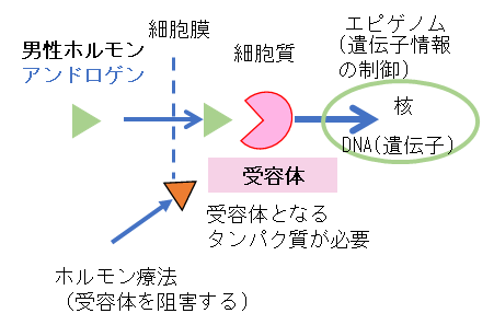 図2.png