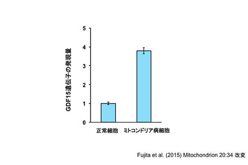 図3：ミトコンドリア病細胞ではGDF15遺伝子が活性化している