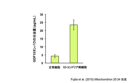 図4：ミトコンドリア病細胞はGDF15タンパクの放出量が増加している