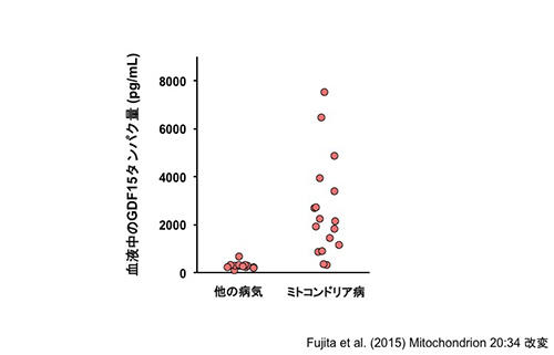 図5：ミトコンドリア病患者の血液中でGDF15タンパクが増加している