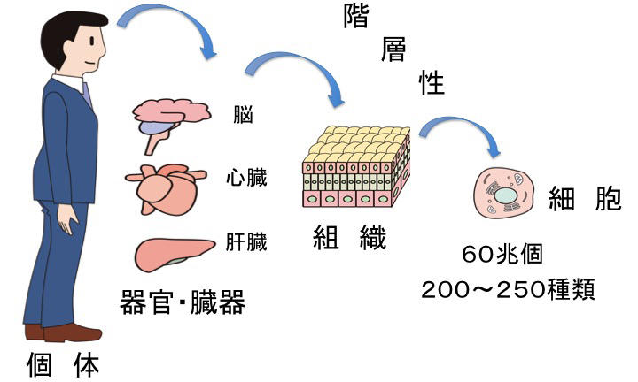 図1