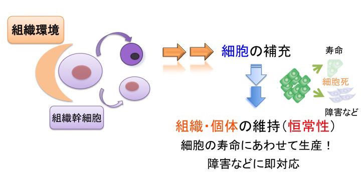 図2