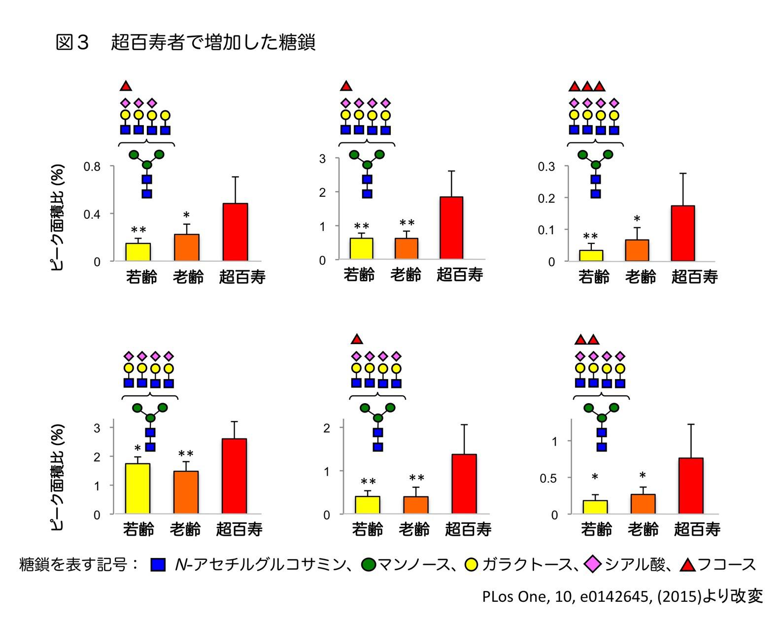 図3　超百寿者で増加した糖鎖