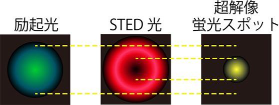 図3：超解像の原理