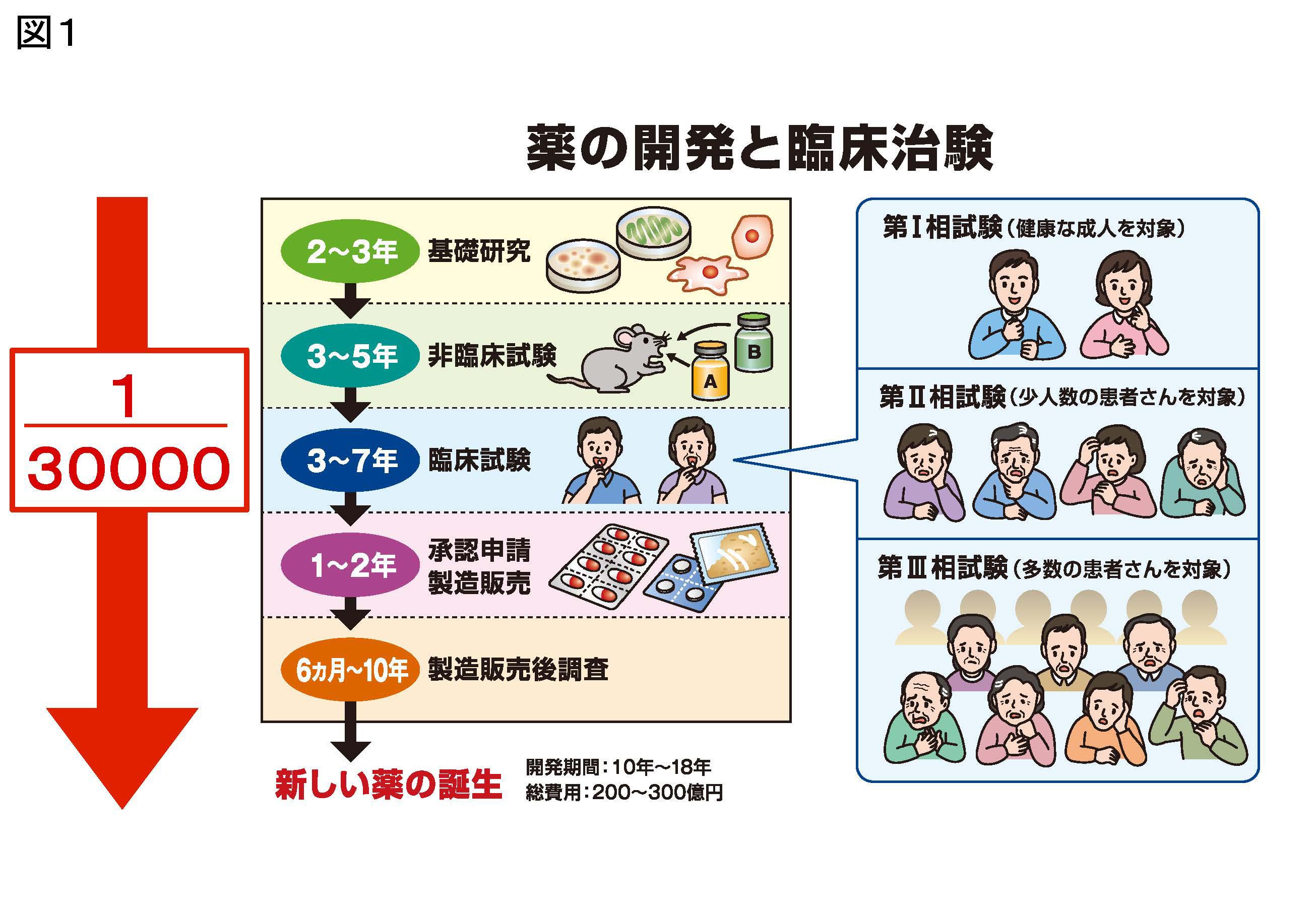 図1 薬の開発と臨床治験