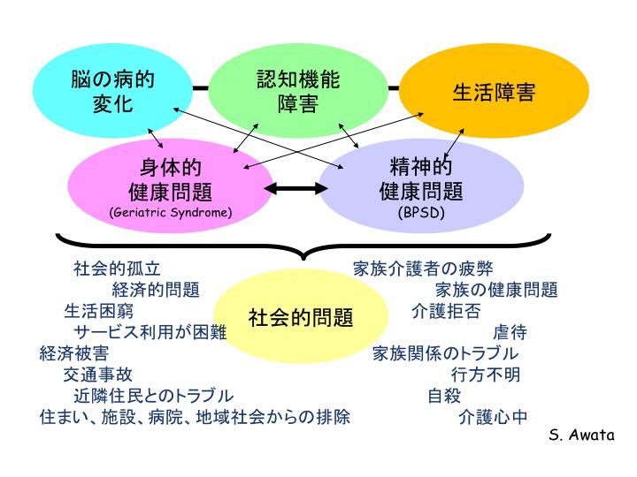 図2. 認知症の臨床像：複雑化について