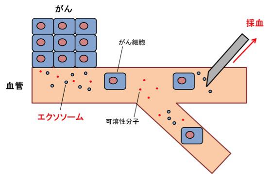 図6【リキッドバイオプシー】