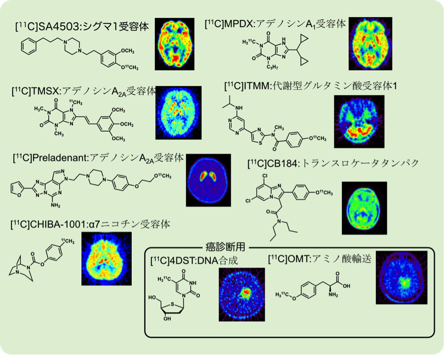 図3.当センターで開発され世界で初めて臨床使用されたPET薬剤