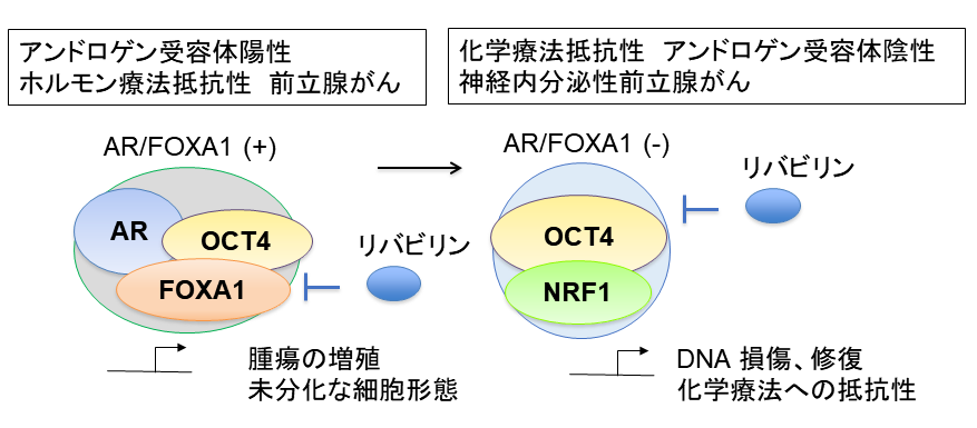 図4.png