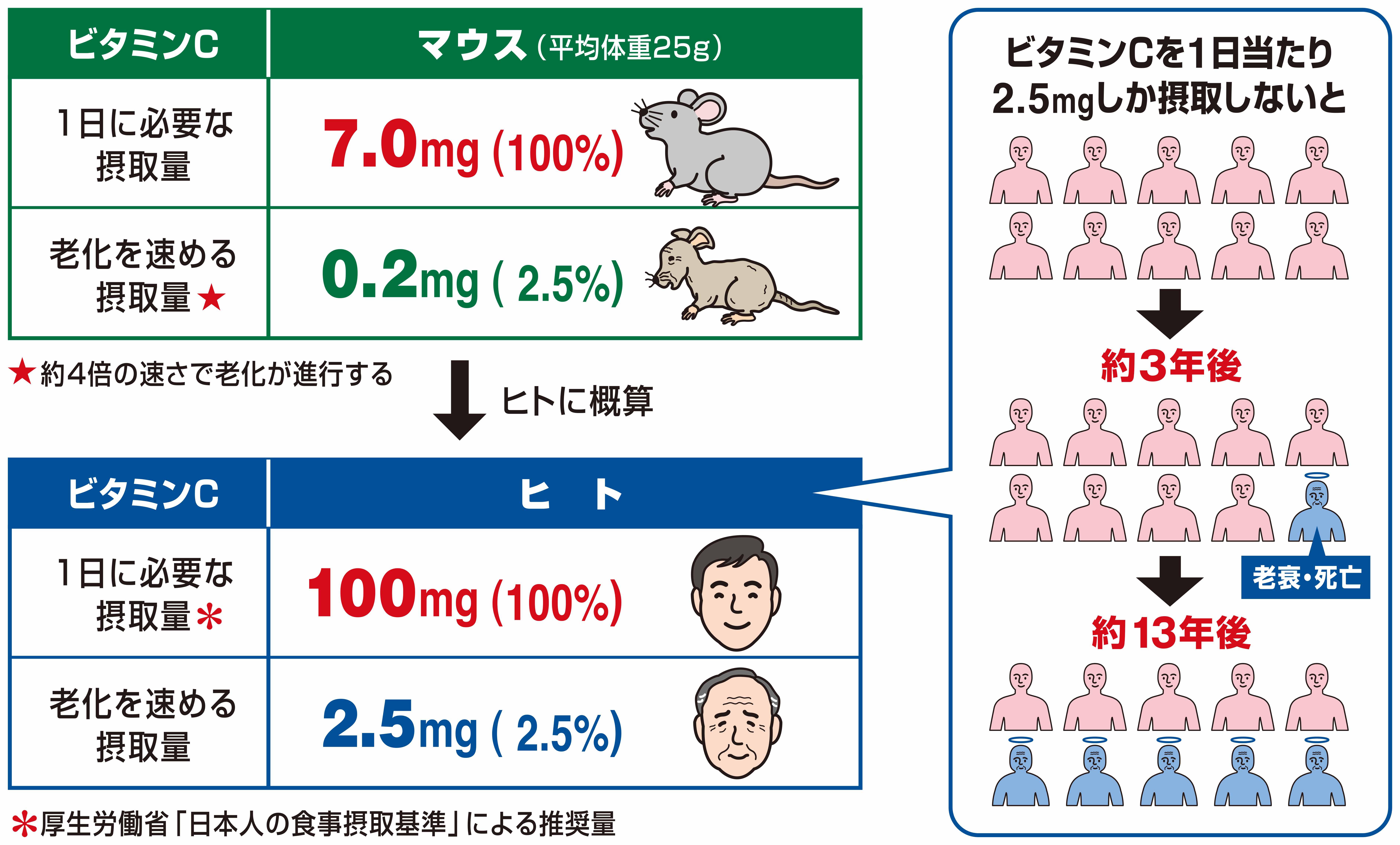 図５.JPG