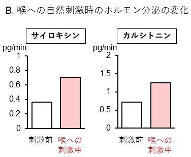 図3B_1.jpg