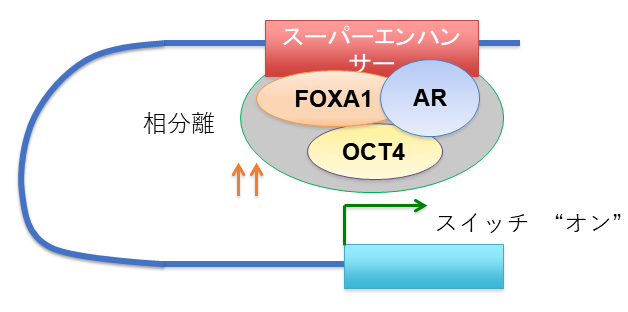 図3.png