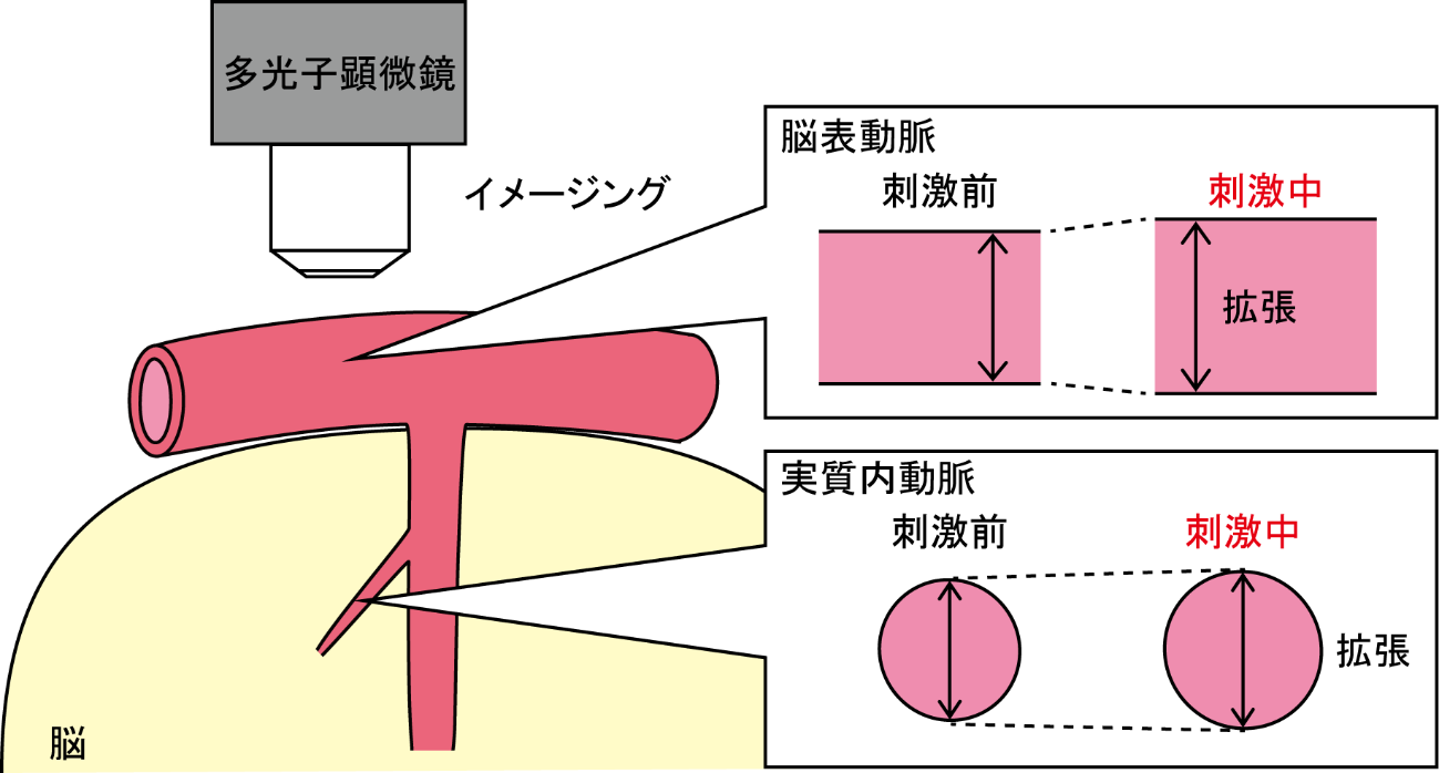 図3.png