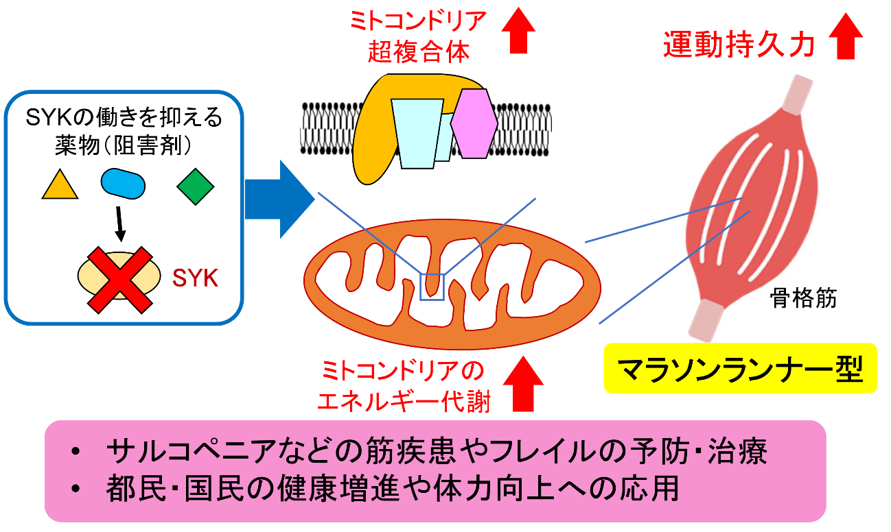 図3.png