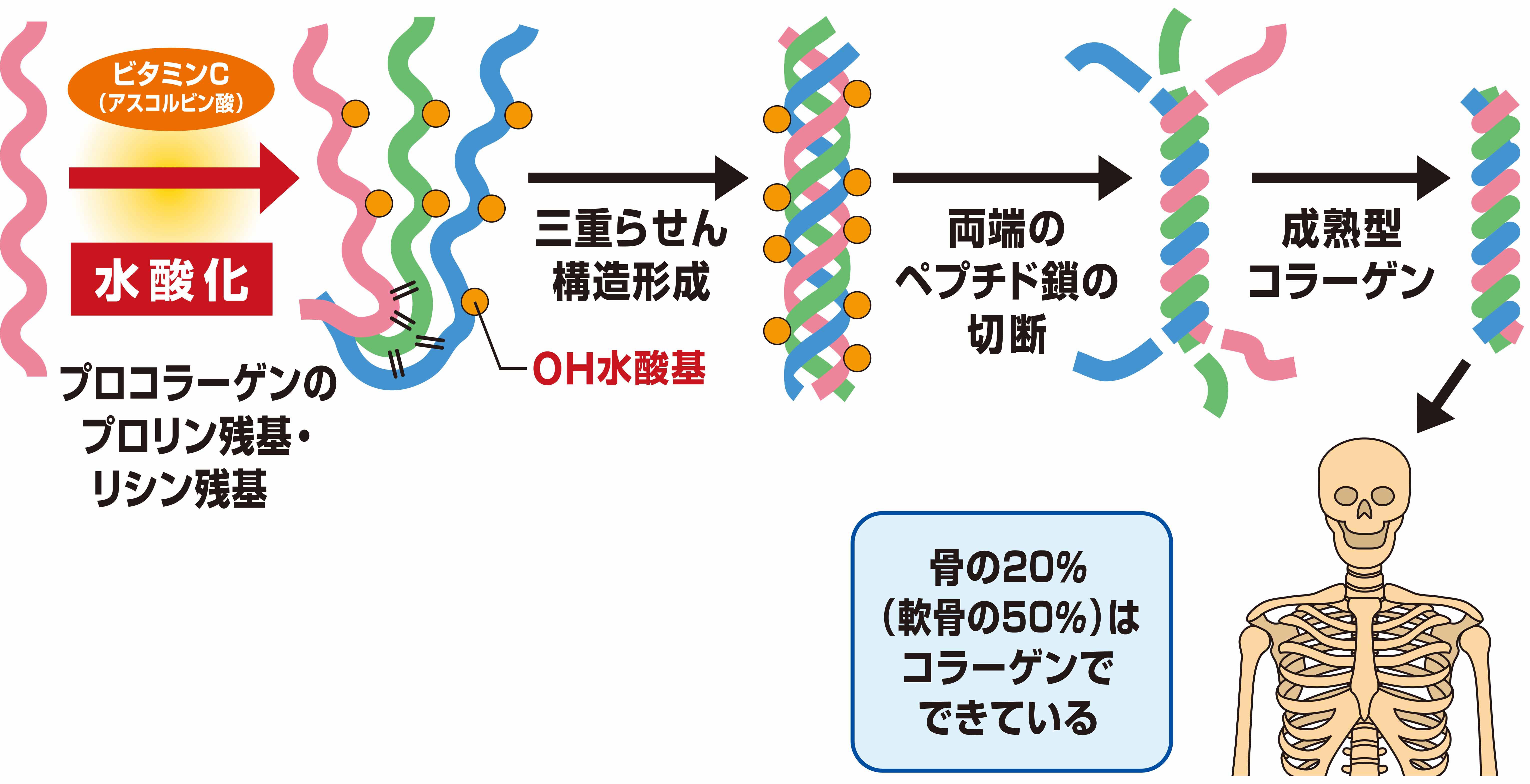 図１.JPG