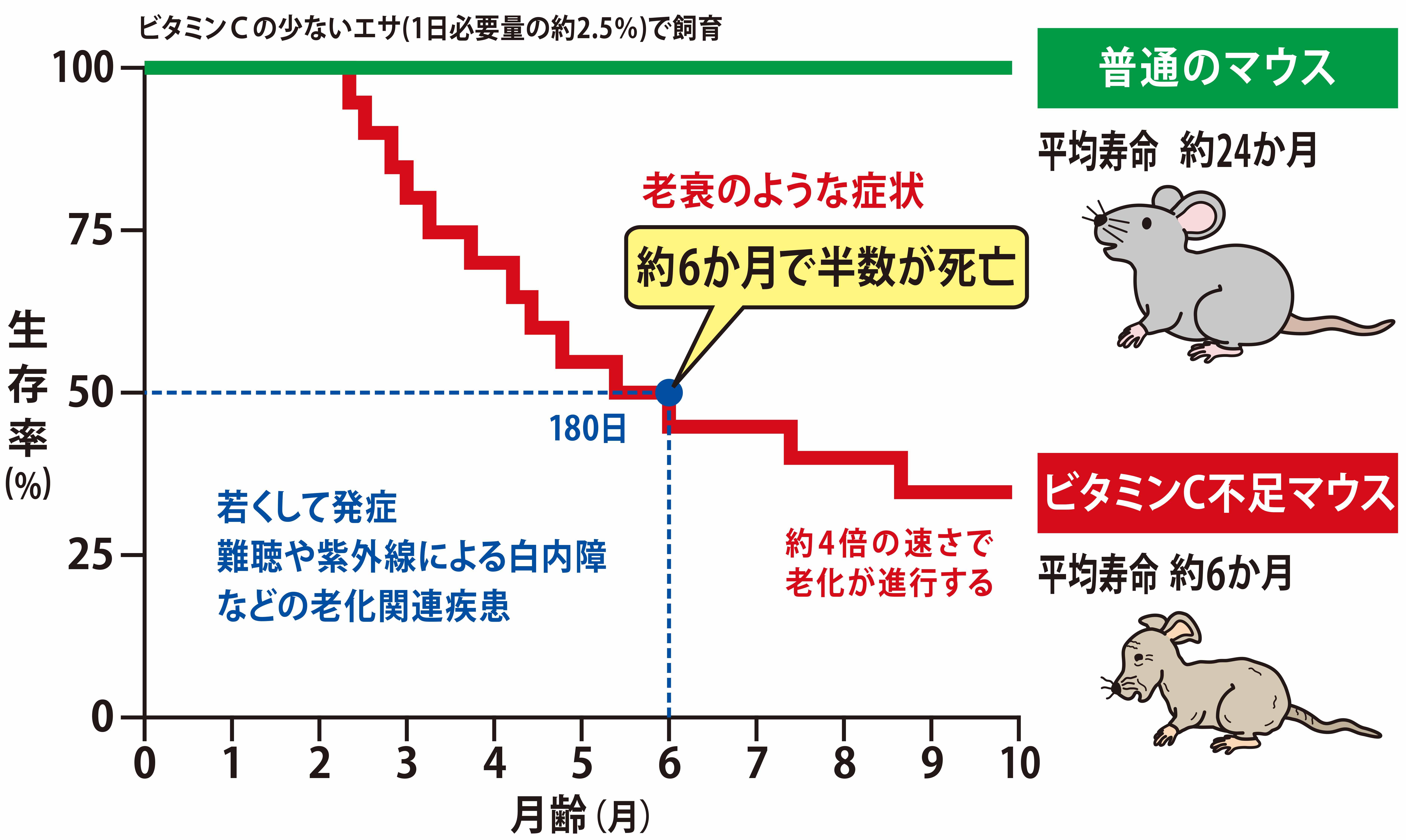 図４.JPG