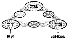 図1 日本語を読むニューラル・ネットワーク・モデル