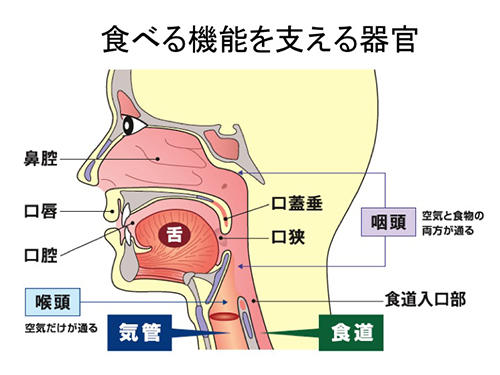 図2